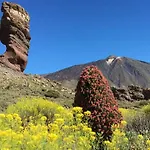 For 4 People In Tenerife Lägenhet