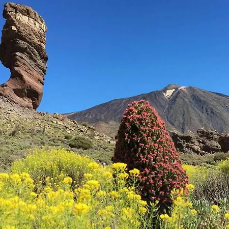 For 4 People In Tenerife Апартаменты